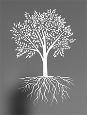 Asset Protection Council ® Logo